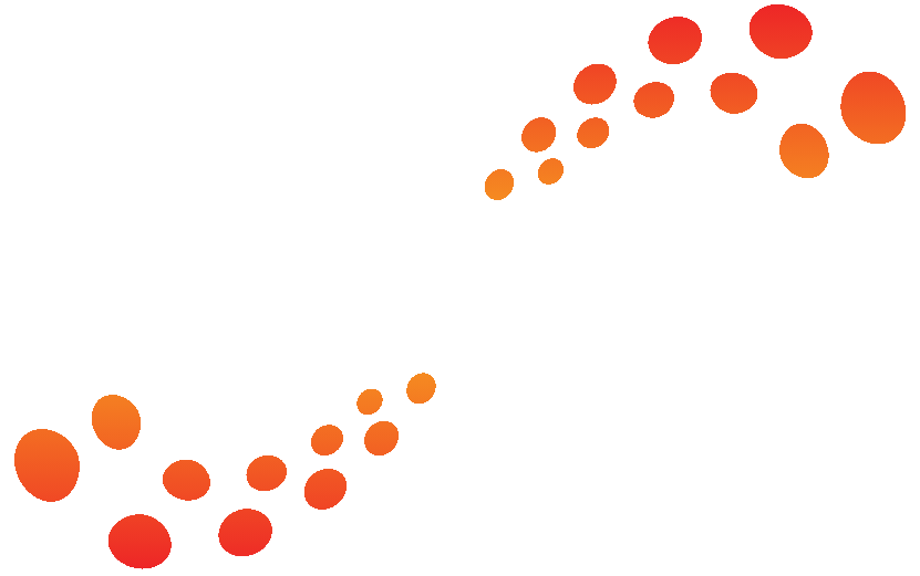 WP-Solutions